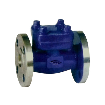 SWING-TYPE CHECK VALVE