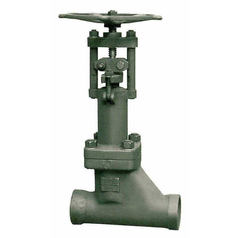 Socket welding connection bellows globe valve